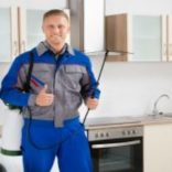 Local Pest Control Peachtree City GA: Tips on How to Choose the Right Pest Control Company