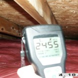 Why Does a Mold Inspection in Pittsburgh, PA Matter?