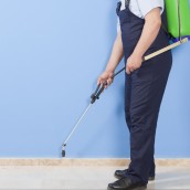 Get Rid Of Mice And Keep Your Home Safe With Mice Control In Pennsylvania