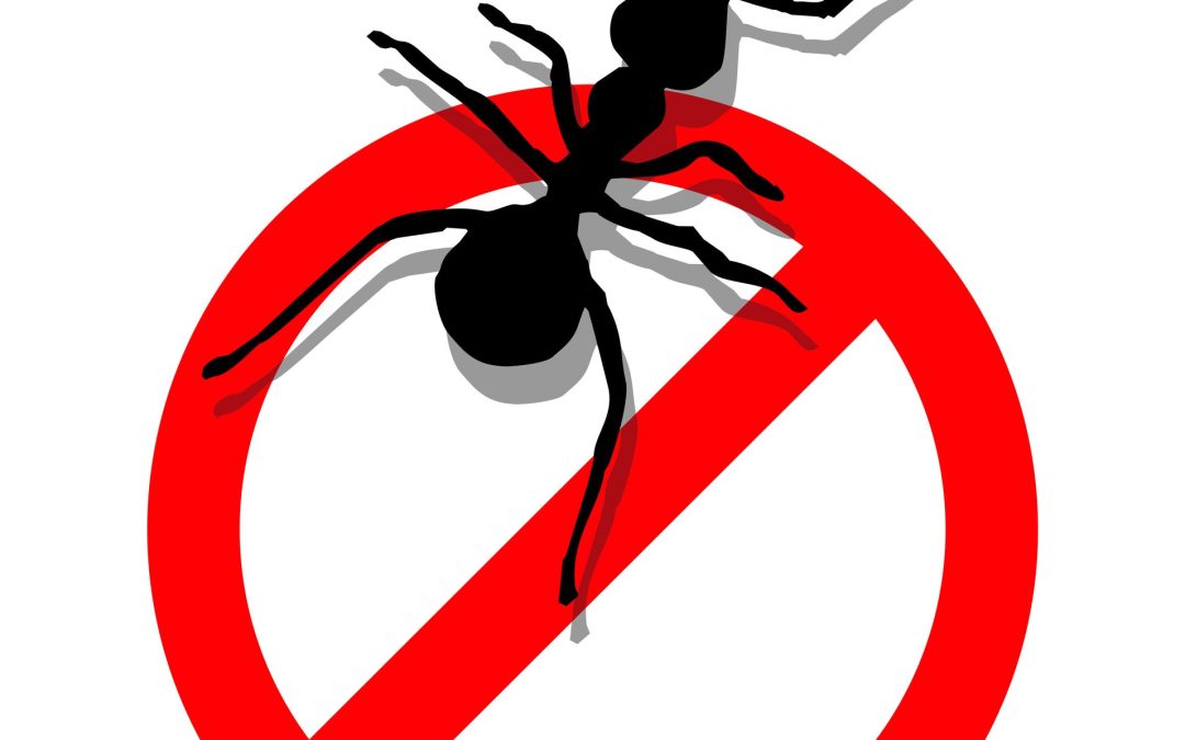 Specialized Green Pest control in Menifee, CA