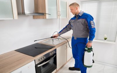 Expert Mosquito Control Fort Myers FL Techniques for Hassle-Free Living