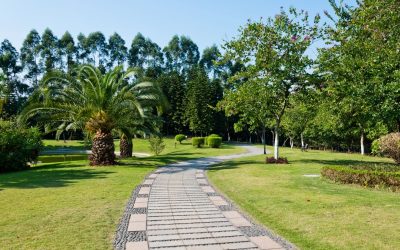 Boost Curb Appeal with Driveway Installation, Johnson Creek, WI, Homeowners Trust for Lasting Results